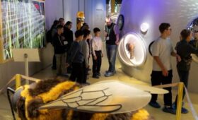 Москвичей пригласили посетить энтомологическую лабораторию в «Биокластере»