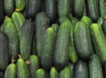 Житель Тюмени украл больше тонны огурцов и 400 килограммов бананов