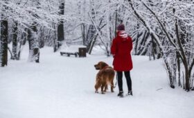 Высота снежного покрова в Москве превысила климатическую норму