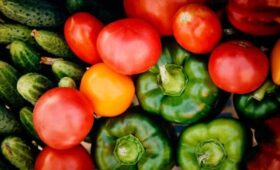 ФАС изучит ситуацию с рыночными ценами на парниковые овощи