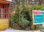 Москвичи могут сдать новогодние ели в специальные пункты до 1 марта