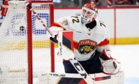 Вратарь «Флориды» Бобровский подрался с голкипером «Сан-Хосе» Недельковичем