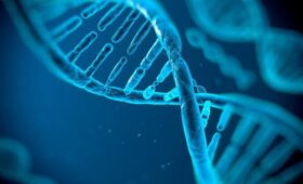 Володин запустил опрос о введении генетического теста для будущих родителей