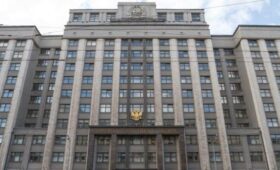 В ГД внесен проект о защите от «эффекта Долиной»