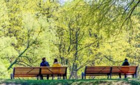 Синоптик Позднякова: весна в 2026 году придет позже в центральную часть России