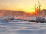 «Лосиный остров» призвал не купаться в водоемах нацпарка на Крещение