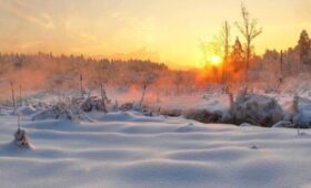 «Лосиный остров» призвал не купаться в водоемах нацпарка на Крещение