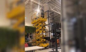 В ТРЦ «Авиапарк» отказались от сеток для ловли птиц