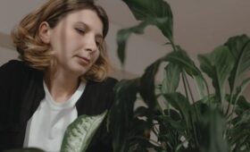 Какие комнатные растения приводят к финансовым потерям по фэншуй