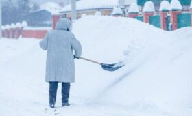 Лукашенко посоветовал женщинам взять лопату и чистить снег, чтобы сохранить красоту