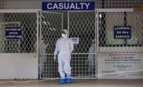 Врач Панфилова: вспышки вируса Нипах в Индии не являются массовыми