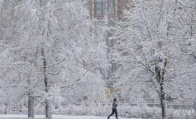 Синоптик Вильфанд опроверг информацию о резком похолодании в центральной России