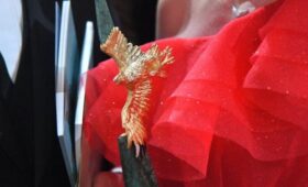 Москва онлайн покажет красную ковровую дорожку премии «Золотой орел»