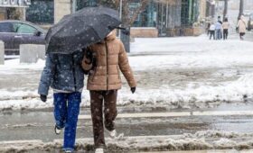 Тишковец сообщил, что в Москве выпадет более трети месячной нормы осадков 27 января