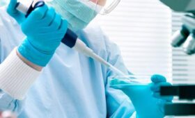 Вспышку африканской чумы свиней зафиксировали в Румынии