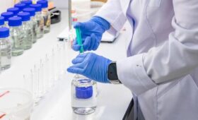 Nikkei: клинические испытания японской вакцины от вируса Нипах на людях начнут в апреле