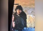 Подозреваемый в убийстве молодого человека в Электростали задержан