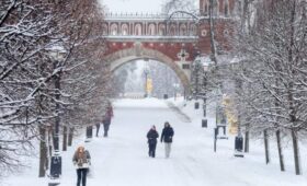 Облачная погода и до 12 градусов мороза ожидаются в Москве 1 января