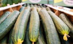 Депутат Выборный призвал ФАС проверить обоснованность роста цен на огурцы