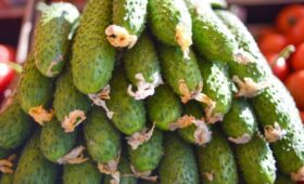 Депутат Миронов отметил, что огурцы стоят дороже тропических фруктов