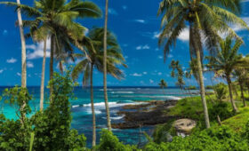 Депутат Стенякина: отпускные выплаты в настоящее время включают денежные поощрения