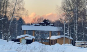 График работы биостанции в нацпарке «Лосиный остров» изменится с 10 февраля