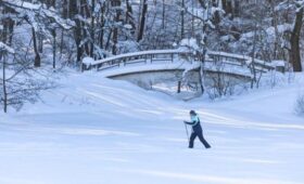 Высота снежного покрова уменьшилась до 51 сантиметра в Москве