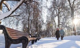 Температура воздуха в столице приблизится к нулю 23 февраля