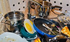 Юрист Земскова: пожаловаться на антисанитарию у соседей можно в Роспотребнадзор