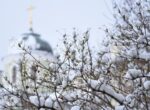 Весеннее тепло ожидается в начале марта в Москве