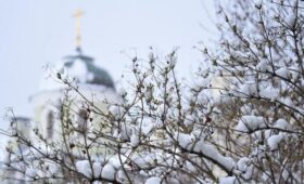 Весеннее тепло ожидается в начале марта в Москве