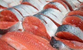 Белоруссия обошла прибрежные страны и стала основным импортером рыбы в Россию