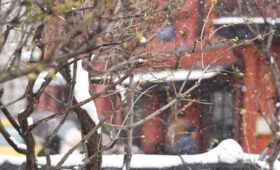 Первая пятидневка весны в Москве завершится морозом