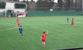 Подбитую футболистами чайку могут сделать символом команды в Турции