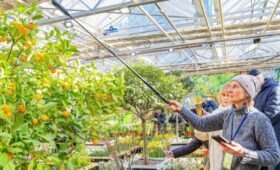 Сервис Russpass разработал три оригинальных маршрута по Москве