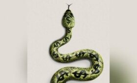 Издание Economist представило обложку с долларом в виде змеи как мировой угрозы