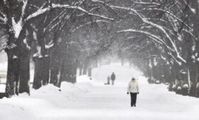 Небольшой снег пройдет в Московском регионе 7–8 февраля