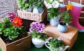 Депутат Чаплин: среди молодых семей растет спрос на садовые участки