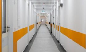 В Домодедовской больнице сообщили об отсутствии новых случаев оспы обезьян