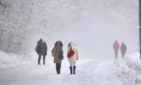 Желтый уровень погодной опасности объявили в Москве из-за непогоды