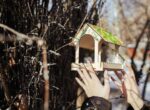 Сергунина: в Москве открыт набор волонтеров – помощников орнитологов