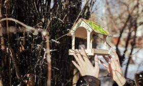 Сергунина: в Москве открыт набор волонтеров – помощников орнитологов