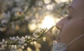 Врач Людмила Лапа: аллергикам стоит исключить из рациона кофе и яйца до сезона цветения