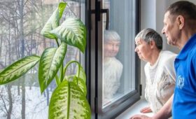 Жители 200 домов оформили документы на квартиры по реновации в Москве в 2025 году