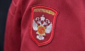 Роспотребнадзор проводит расследование случая подозрения на оспу обезьян