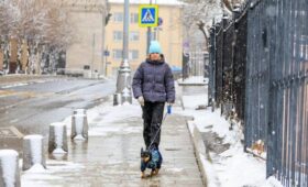 Оттепель ожидается в Москве с 28 февраля по 2 марта