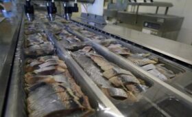 Сельдь стала самой подешевевшей рыбой в России в 2025 году