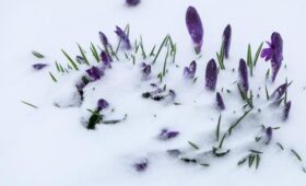 Снег в Москве в 2026 году может остаться до второй половины апреля