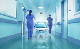 Два случая оспы обезьян выявлены в Петербурге у туристов, прибывших из Таиланда