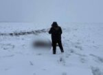Тело пропавшего подростка под Саратовом найдено на берегу Волги